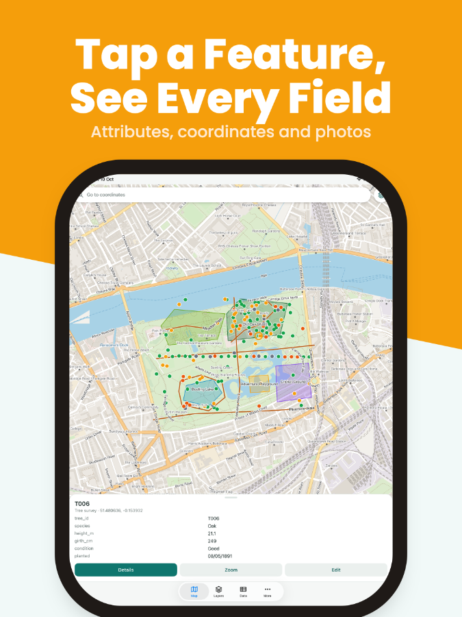 Inspect feature fields and search the attribute table.